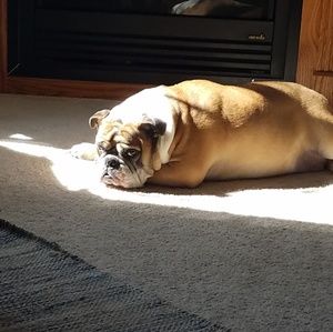 Meet your Posher, Elizabeth